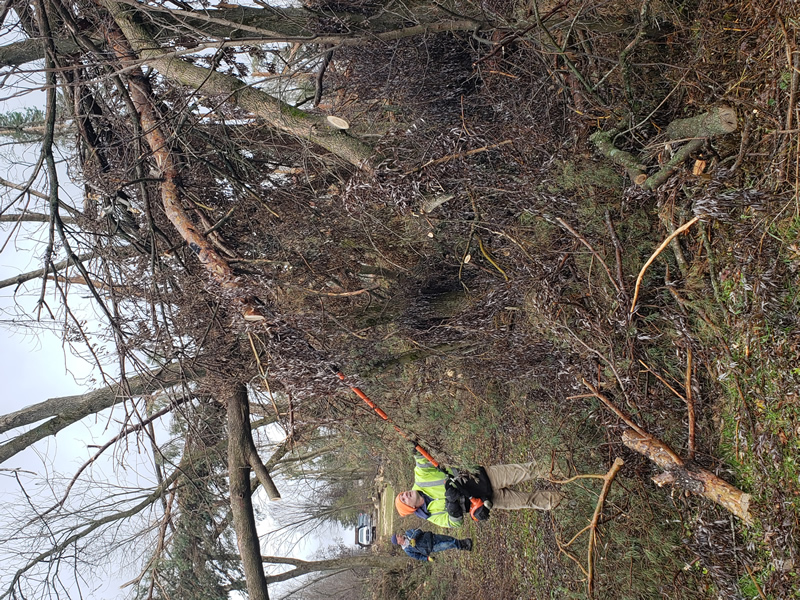 /pictures/Trail Clean Up 2018/20181104_093245.jpg